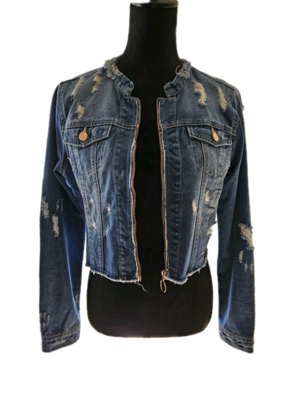 Jean Jacket - Picture 1 of 16